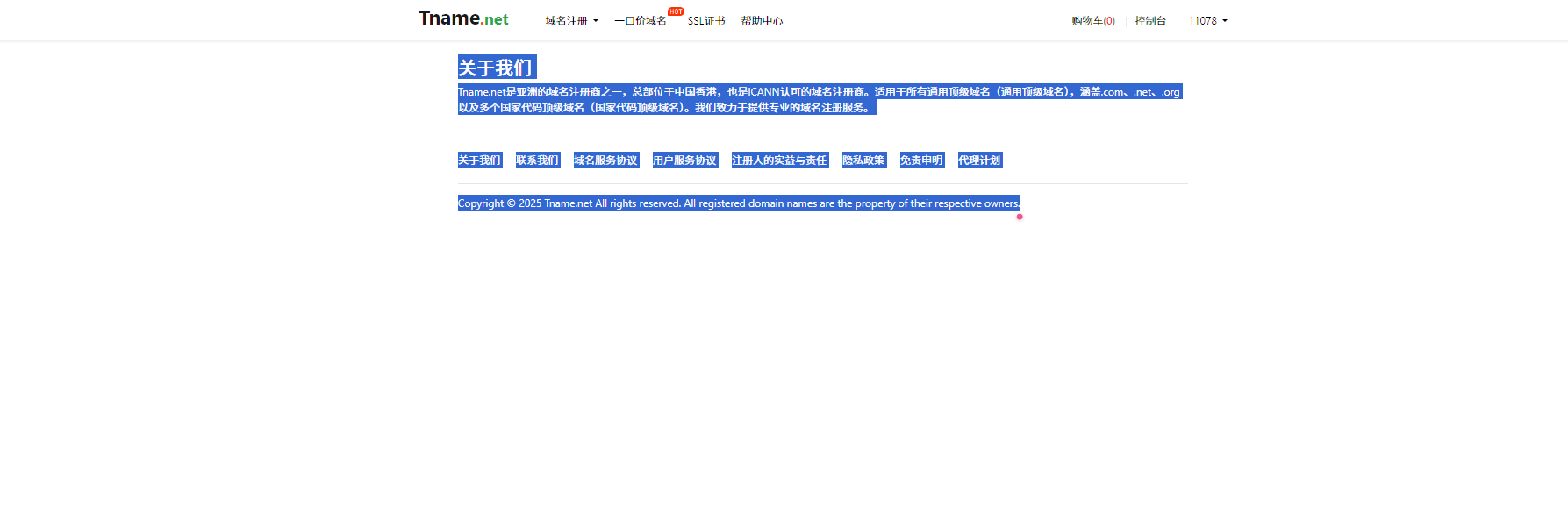 tname.net 关于我们 - 抄袭版